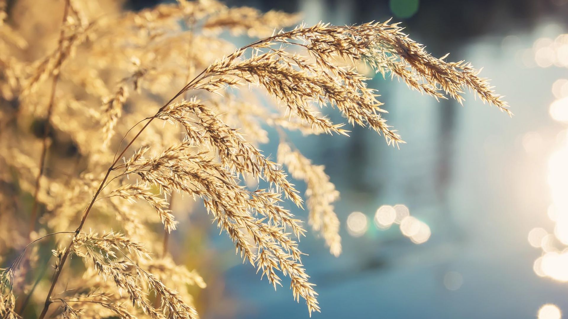 Nieuwbouw Elst omgeving